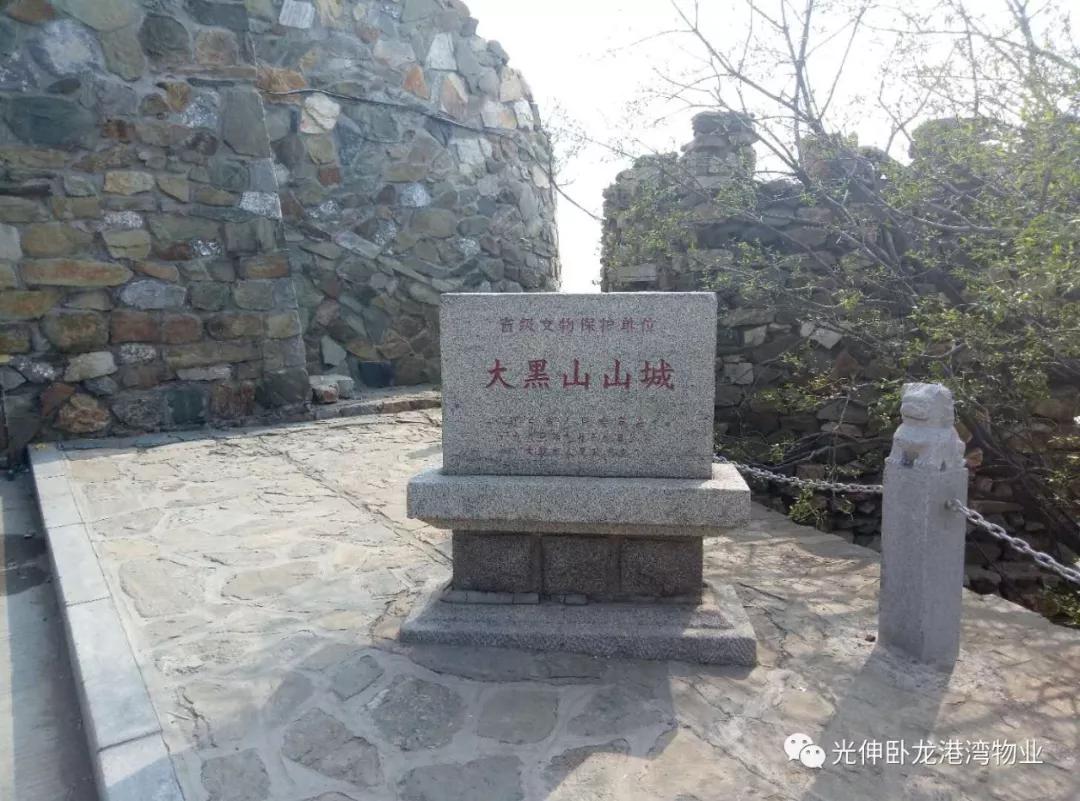 bevictor伟德-bv伟德国际体育官方网站