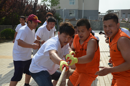 bevictor伟德-bv伟德国际体育官方网站